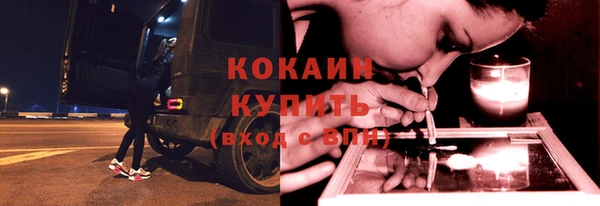 СК Бронницы