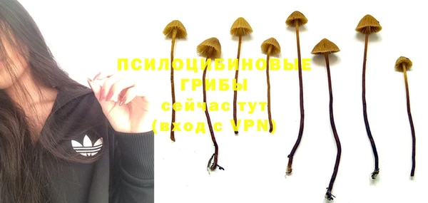 МДПВ Верхнеуральск