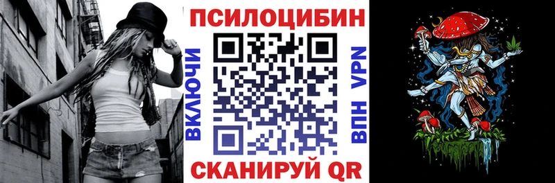 Купить где Новосиль Псилоцибиновые грибы мицелий